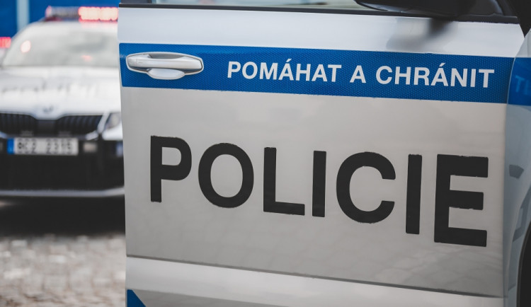 Od své devadesátileté příbuzné chtěl půjčit peníze. Když odmítla, začal ji škrtit