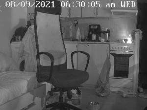 Pes způsobil požár na sporáku kuchyně bytu v panelovém domu, vše zachytila bezpečnostní kamera