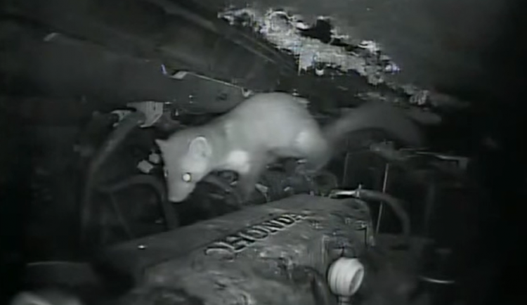 Ilustrační foto, youtube.com