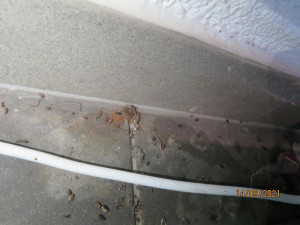 Myší exkrementy a špína. Inspektoři zavřeli v Aši prodejnu potravin