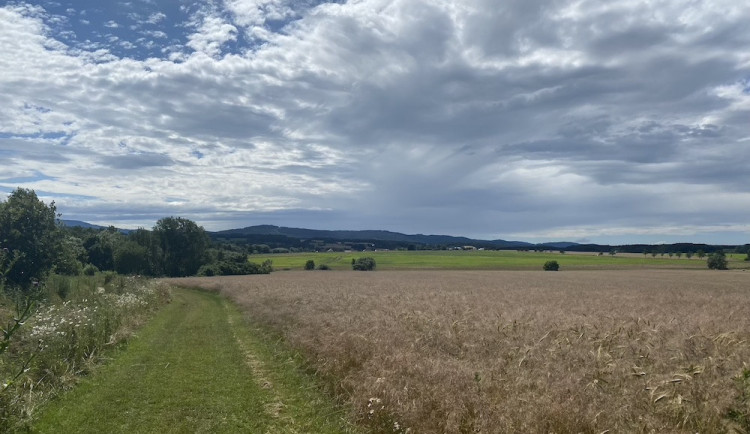 Čeká nás nejteplejší týden, teploty budou kolem 20 stupňů. Poté se ochladí