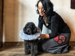 Chtěly usnadnit léčbu svým nemocným pejskům, vytvořily pro ně v době covidu geniální veterinární pomůcku