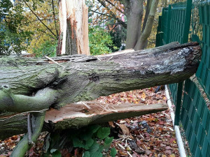 Do Karlovarského kraje dorazil vítr, omezil dopravu a způsobil výpadky