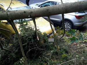 Do Karlovarského kraje dorazil vítr, omezil dopravu a způsobil výpadky