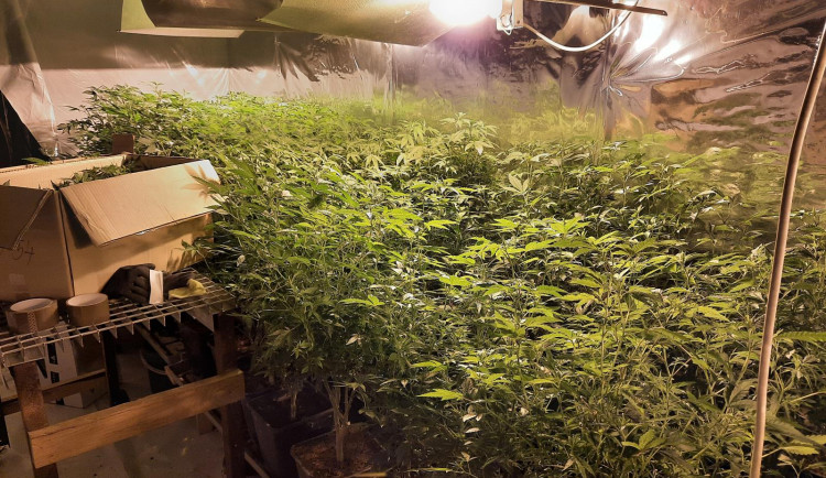 Policisté na Karlovarsku rozprášili obávaný drogový gang 