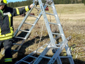 Velká záchranná akce v Krušných horách, do hluboké jámy u silnice zapadlo hříbě