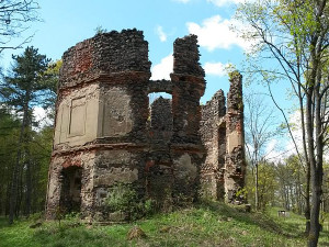Ostrov chce zachránit zříceninu loveckého zámku u Mořičova