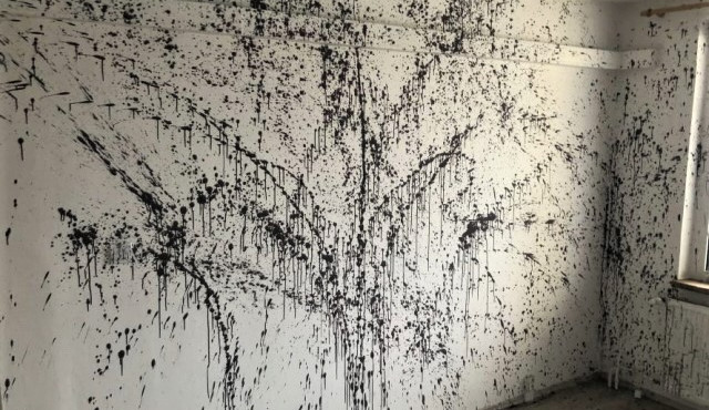 Rozzuřený malíř pokojů neunesl kritiku své práce. Barvou zdemoloval celý byt, který předtím vymaloval