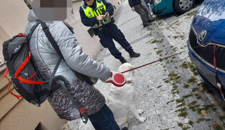 Pejskařka v nesnázích. Vodítko zasekunuté pod kapotou auta museli vyprostit strážníci