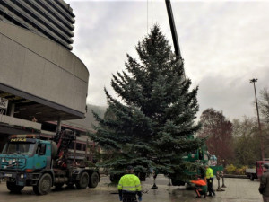 Vánoční trhy v Karlových Varech se ruší, strom před Thermalem rozsvítí přes internet