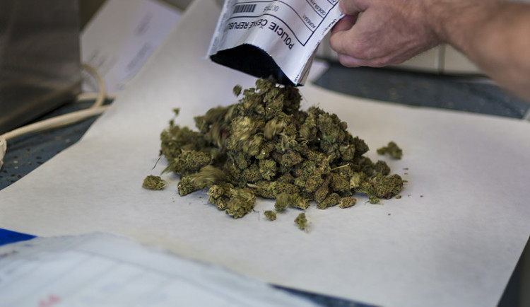 Drogový dealer ve velkém prodával marihuanu, brutálně týral matku a 30 psů choval v otřesných podmínkách