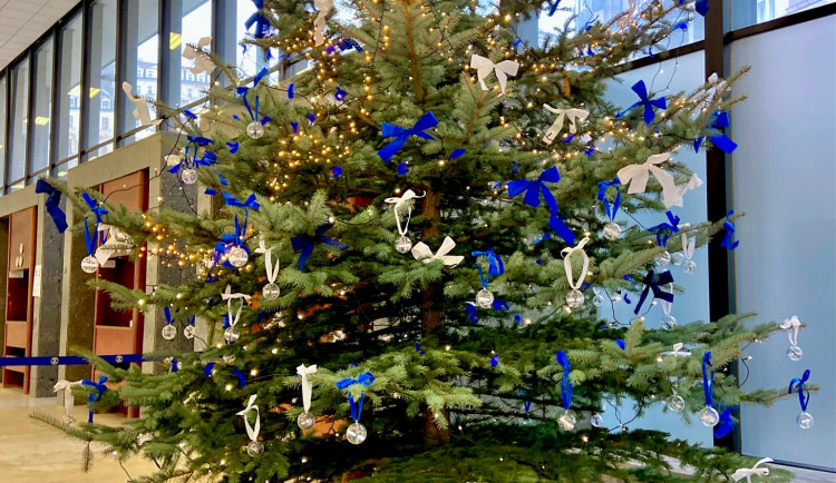 Zakoupením vánočního losu ve Vřídelní kolonádě lze přispět na dobrou věc