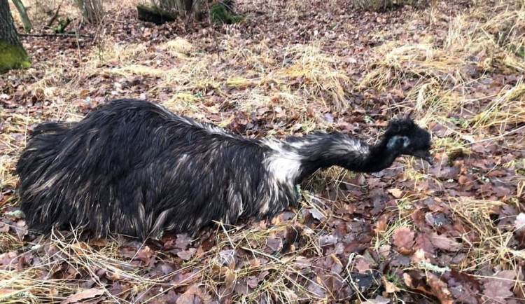 269912614_1006744643522069_4610225517419552478_n