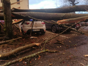 Vichřice porážela stromy na zaparkovaná auta, bez proudu je na Karlovarsku přes 40 tisíc domácností