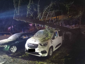 Vichřice porážela stromy na zaparkovaná auta, bez proudu je na Karlovarsku přes 40 tisíc domácností