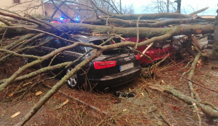 274278487_4795094743943868_6342861850744051145_n