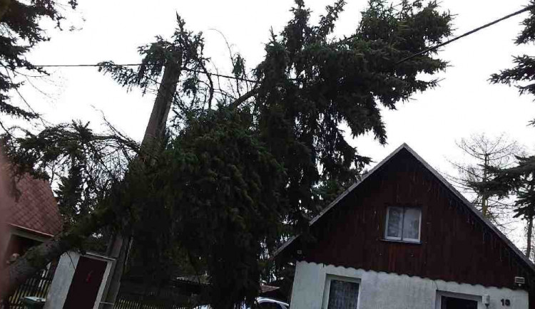 V Karlovarském kraji zůstává po větru bez proudu asi 2000 domácností