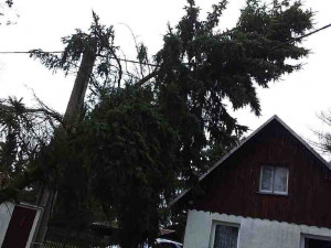V Karlovarském kraji zůstává po větru bez proudu asi 2000 domácností