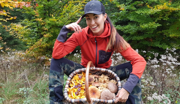 Šumavská houbička v akci