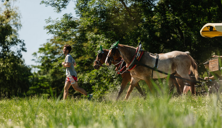 Nová sezóna Běhej lesy je za bukem a přináší hromadu novinek