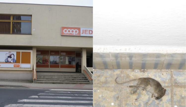 Sklad prodejny potravin na Karlovarsku byl plný mrtvých myší