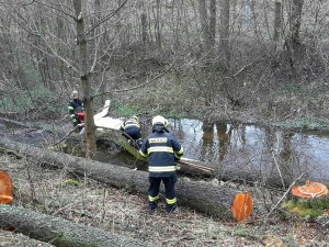 Luxusní BMW skončilo v potoce. Nehoda se obešla bez zranění.