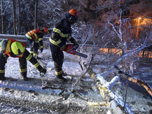 Těžký sníh v noci lámal a vyvracel desítky stromů, hasiči v Karlovarském kraji se ještě nezastavili