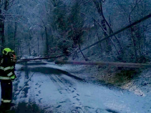 Těžký sníh v noci lámal a vyvracel desítky stromů, hasiči v Karlovarském kraji se ještě nezastavili