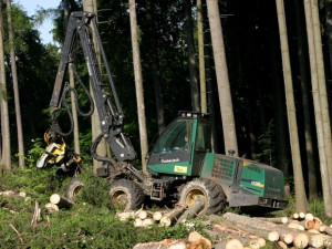 Lázeňské lesy i městské sociální služby Varů skončily v zisku