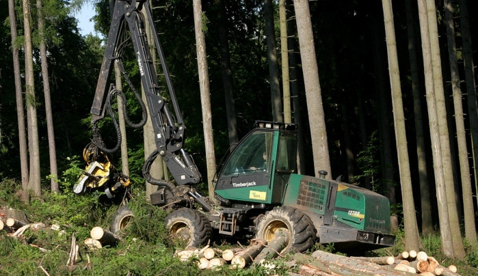 size4-1633979564804-207-lesy-cr-posunuly-termin-podani-nabidek-do-tendru-za-pet-miliard-korun