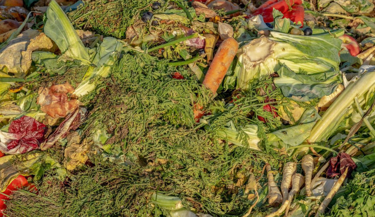 Vědci z Brna bojují s biologickým odpadem. Nová popelnice zabrání zápachu i výskytu hmyzu