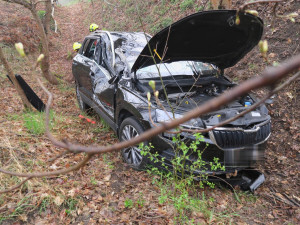 Řidič nejspíš usnul za volantem. Auto vyjelo mimo silnici a narazilo do stromu