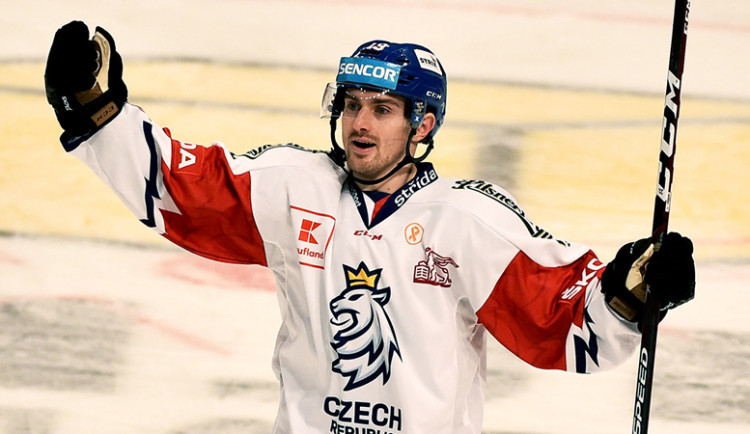 Máme tým na medaili, říká Flek před mistrovstvím