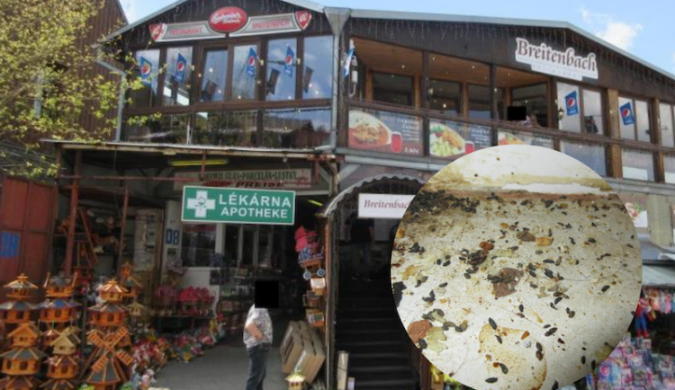 Inspektoři cítili v restauraci na Karlovarsku pach myšiny. Našli trus hlodavců
