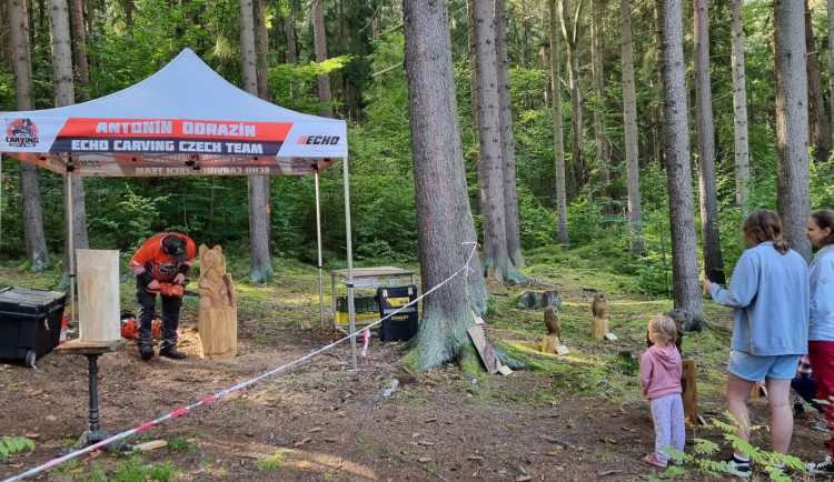Na netradiční řezbářská díla, piknik v lese a stezku s úkoly lákají lázeňské lesy