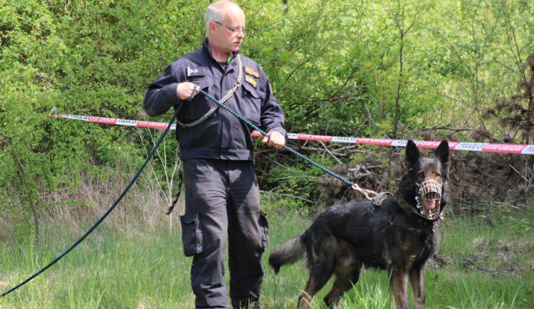 Při rozsáhlé pátrací akci policisté hledali ztraceného cizince, senior u sebe neměl mobil