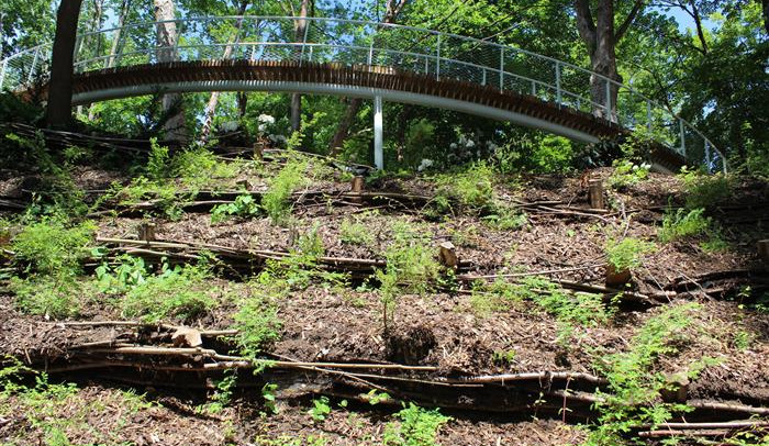 Aš proměnila bývalý evangelický hřbitov na park historie. Bude to turistický tahák, věří město