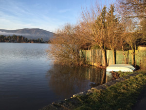 Ve Velkém rybníce v Karlovarském kraji se zhoršila kvalita vody
