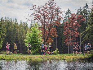 © 2021 Martin FLOUSEK, all rights reserved.