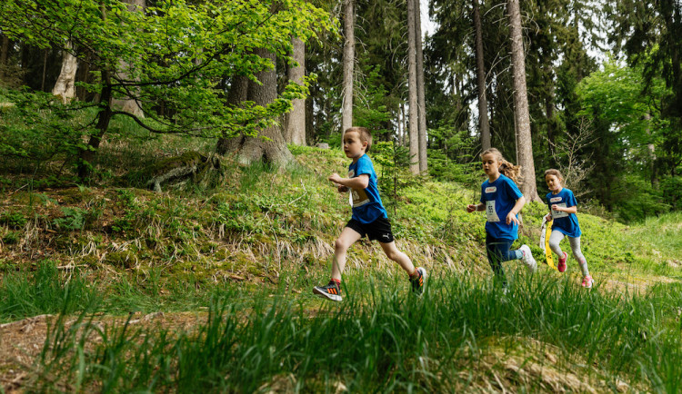 Poslední šance zazávodit si na Běhej lesy Slavkovský les.