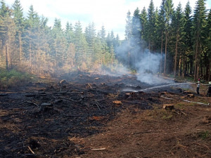 Hasiči bojovali s rozsáhlým požárem lesa osmnáct hodin. Hasit pomáhal vrtulník