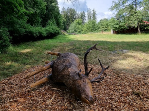 Řezbáři vytvářeli ze dřeva odpadky i mrtvého jelena, mají symbolizovat následky divoké party v lese