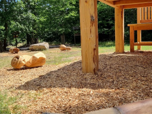 Řezbáři vytvářeli ze dřeva odpadky i mrtvého jelena, mají symbolizovat následky divoké party v lese