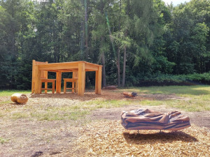 Řezbáři vytvářeli ze dřeva odpadky i mrtvého jelena, mají symbolizovat následky divoké party v lese