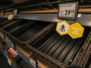 Penny: „Bez včel bychom přišli o šedesát procent potravin“