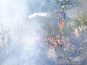 V obrovském vedru likvidovali hasiči požár suché trávy na ploše 10 000 metrů čtverečních