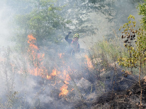 V obrovském vedru likvidovali hasiči požár suché trávy na ploše 10 000 metrů čtverečních