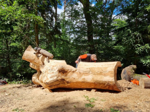 Z 200 let starého dubu pokáceného vichřicí už vznikla dětská prolézačka, řezbáři využijí i zbývající dřevo