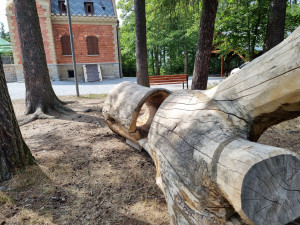 Z 200 let starého dubu pokáceného vichřicí už vznikla dětské prolézačka, řezbáři využijí i zbývající dřevo