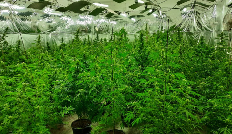 Pěstírna v Karlových Varech.